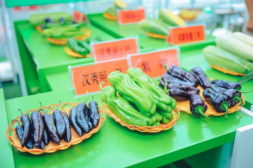 3000余種農作物亮相武漢種博會，端午假期邀市民共赴農業(yè)盛宴